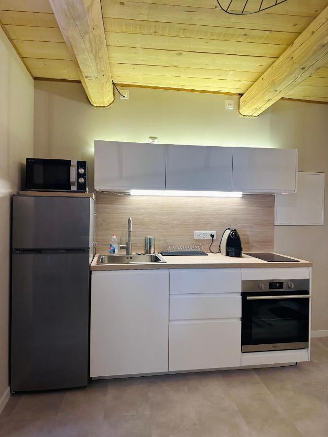 Апартаменти Duplex La Tour Сент-Етьєнн-де-Тіне Екстер'єр фото